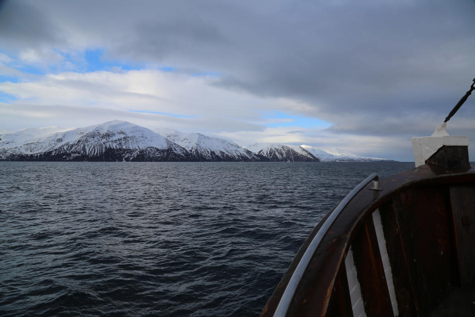 Image: Captain Heimir Hardarson takes whale watchers out on his boat in Husavik, Iceland. (Carlo Angerer / NBC News)