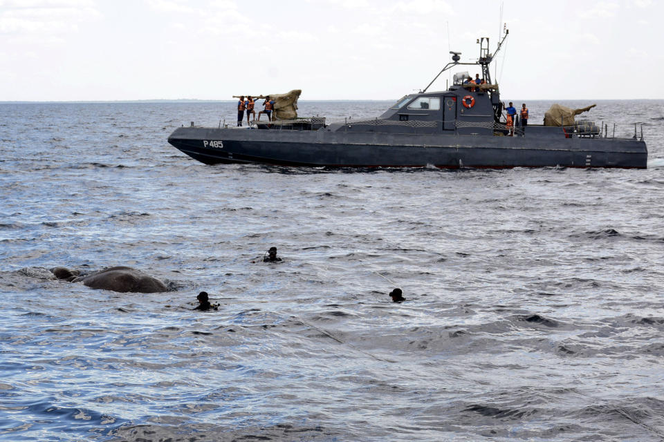 <p>A handout photo made available by Sri Lanka Navy media unit shows Sri Lanka Navy divers trying to tie a rope around an elephant who had strayed away into the open sea and trying to stay afloat off the East coast of the Island on July 12, 2017. (Photo: Sri Lanka Navy media unit/REX/Shutterstock) </p>