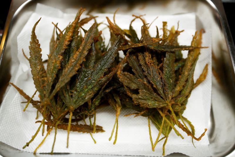 Fried marijuana leaves are served at Abhaibhubejhr hospital canteen which adds cannabis infused dishes to its menu in Thailand