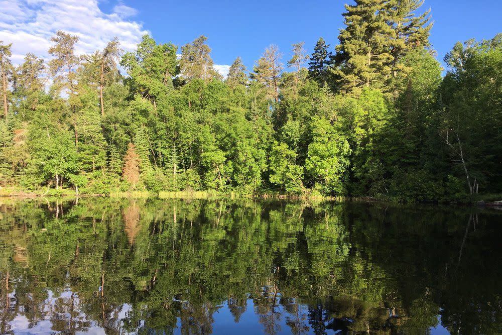 Lake Vermilion | Minnesota