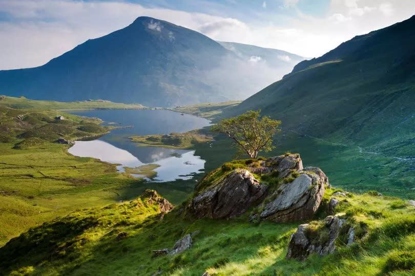 The body was found on Pen yr Ole Wen in Eryri National Park -Credit:Getty Images