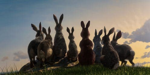 <span class="caption">Hazel and his gang survey the view from Watership Down</span> <span class="attribution"><span class="source">BBC</span></span>