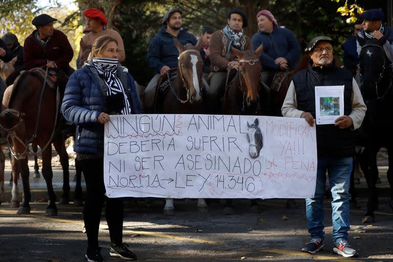 Marcha y protesta a caballo porel robo y asesinato de mas de 117 caballos en la ciudad.