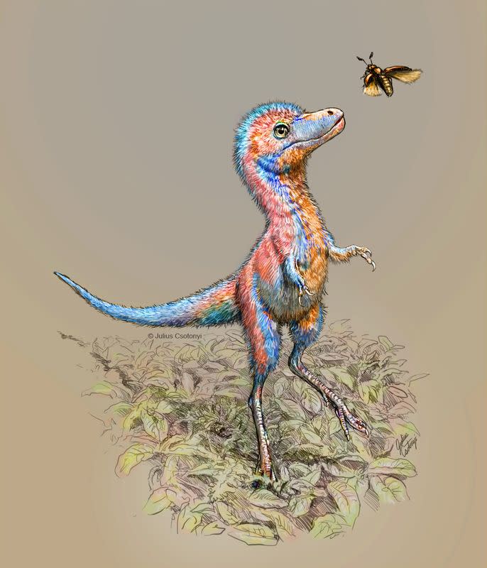 Baby tyrannosaur from the Cretaceous Period of North America is seen in an undated artist's rendition