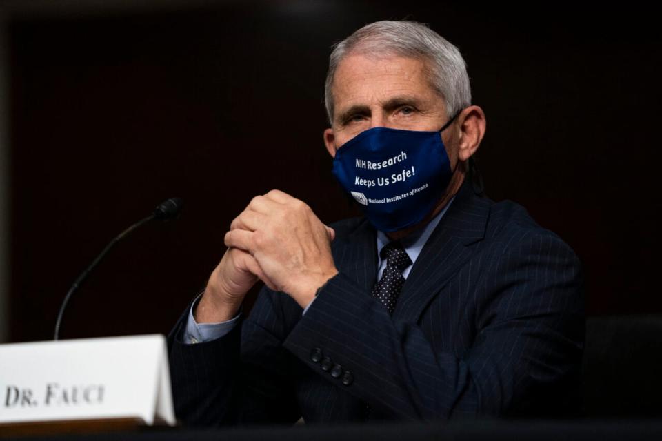 Dr. Anthony Fauci, director of the National Institute of Allergy and Infectious Diseases, testifies at a hearing of the Senate Health, Education, Labor and Pensions Committee on September 23, 2020 in Washington, DC. The committee is examining the federal response to the coronavirus pandemic. (Photo by Alex Edelman-Pool/Getty Images)