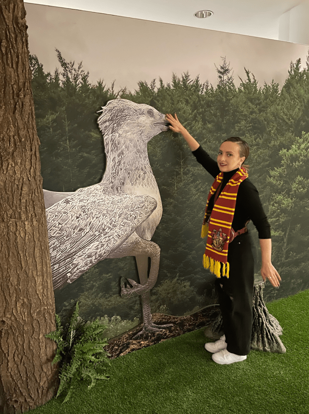 <p>That's a good Buckbeak. </p>