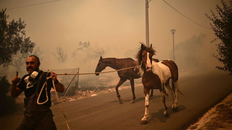 Un homme évacue des chevaux lors d'un incendie de forêt à Chasia, dans la banlieue d'Athènes, le 22 août 2023. - Angelos Tzortzinis/AFP/Getty Images