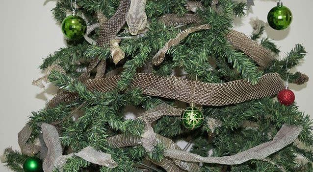 The tree has a skins from a number of different types of skins, including taipans and pythons. Source: Elite Snake Catching Services/ Facebook