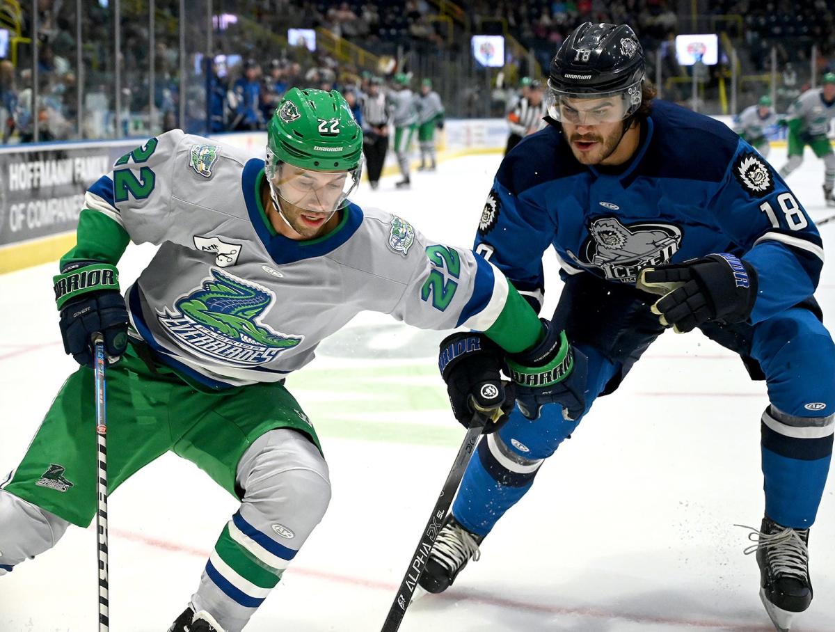 Florida Everblades fall to Jacksonville Icemen in ECHL season opener at  Hertz Arena