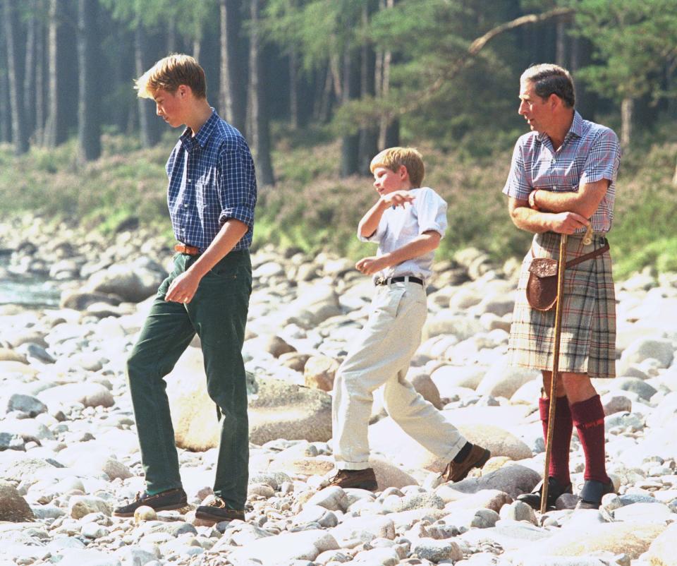 Princes William and Harry with King Charles