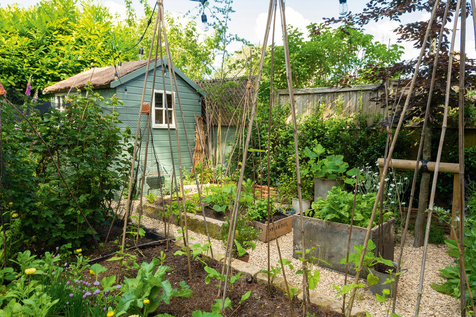 USE A MIX OF DIFFERENT VEGETABLE CONTAINERS