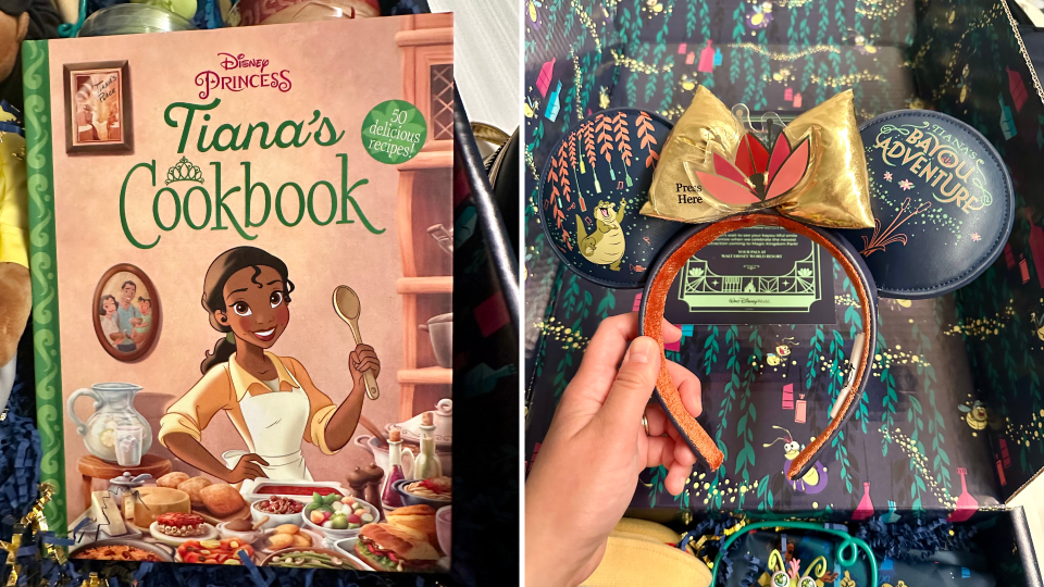 Tiana's Bayou Adventure merchandise