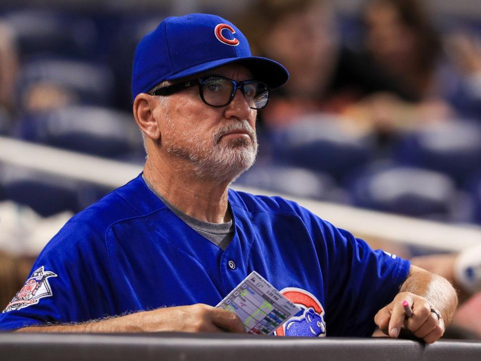 joe maddon