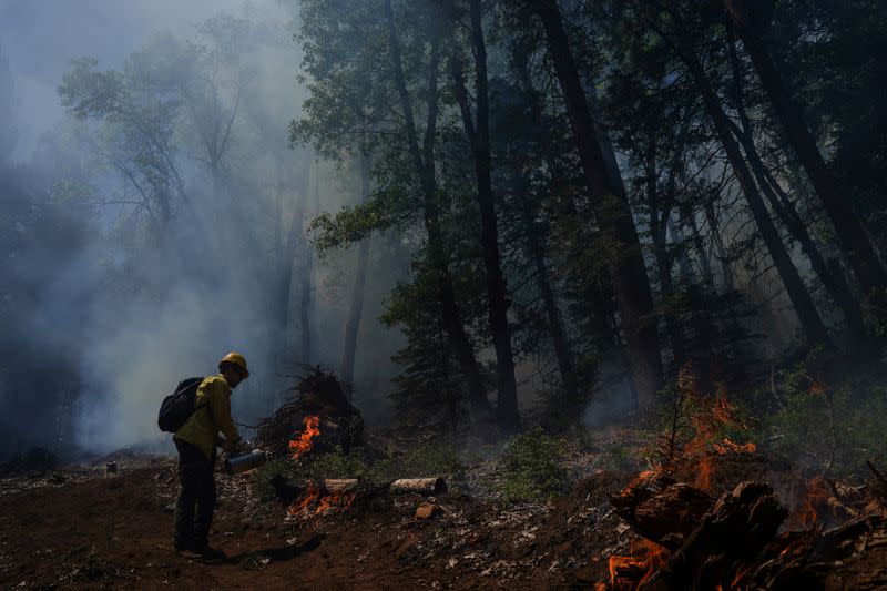 Volunteers learn broadcast burning techniques in Georgetown