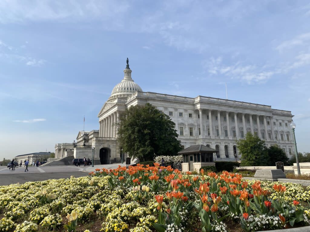U.S. Capitol with flowers