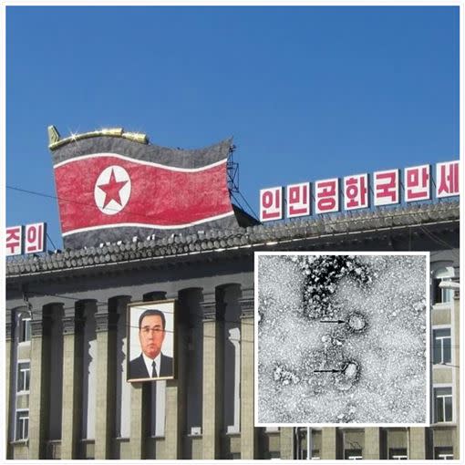 北韓傳出正在自行研發抗武漢肺炎藥物。（圖／翻攝自Pixabay、中國疾病預防控制中心）