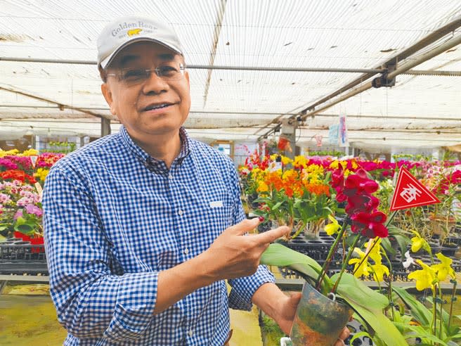 台灣蘭花產業聯盟發展協會發起人吳明坤表示，今年蘭花市場流行中小品或有香味的蘭花，方便擺放觀賞。（劉秀芬攝）