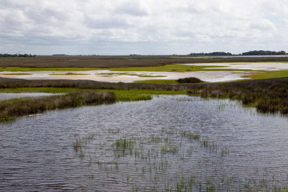 Scenes from St. Marks National Wildlife Refuge Sunday, Sept. 13, 2020. 