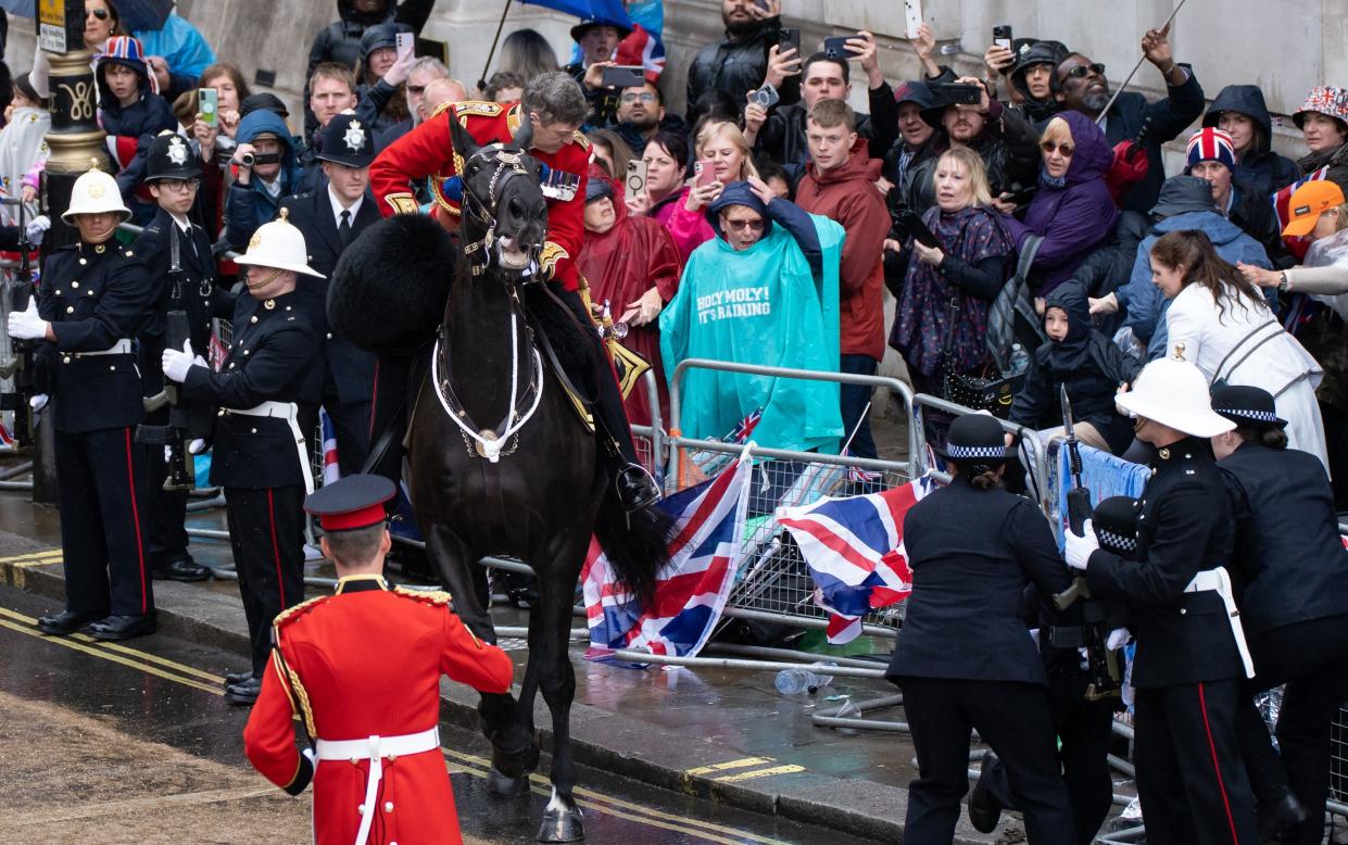 A horse appeared to be spooked and knocked down barriers separating the public from the procession route - Christopher Pledger for The Telegraph