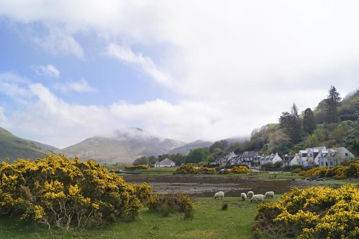 Lochranza bay on Arran at low tide: Getty Images/iStockphoto