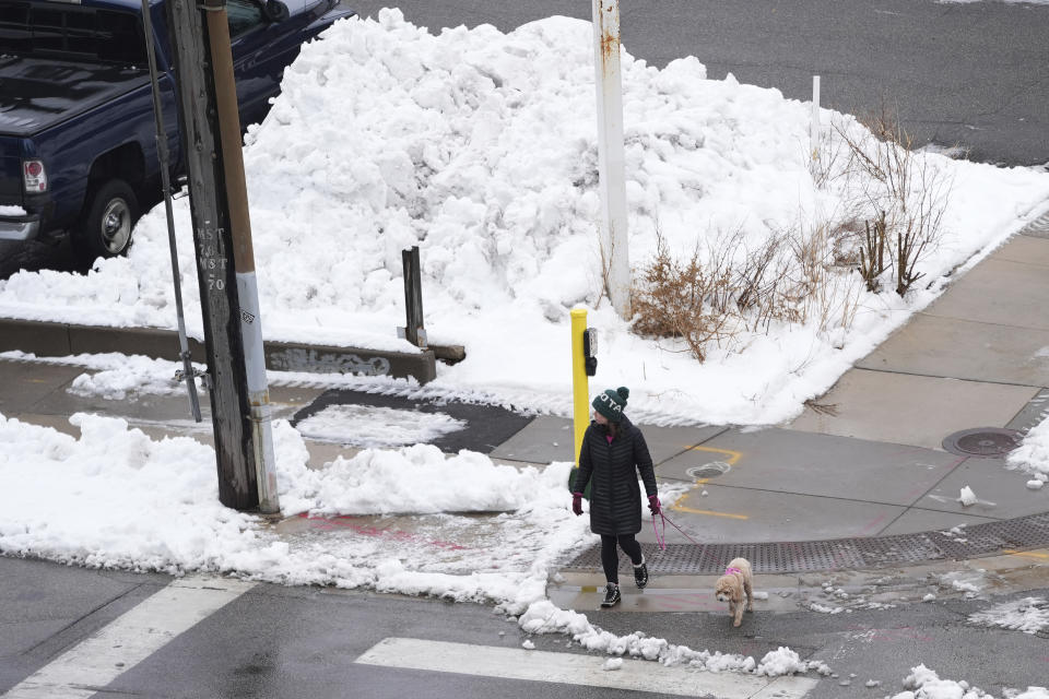 A pedestrian with a dog crosses the street near a large pile of snow Monday, March 25, 2024, in Minneapolis. (AP Photo/Abbie Parr)