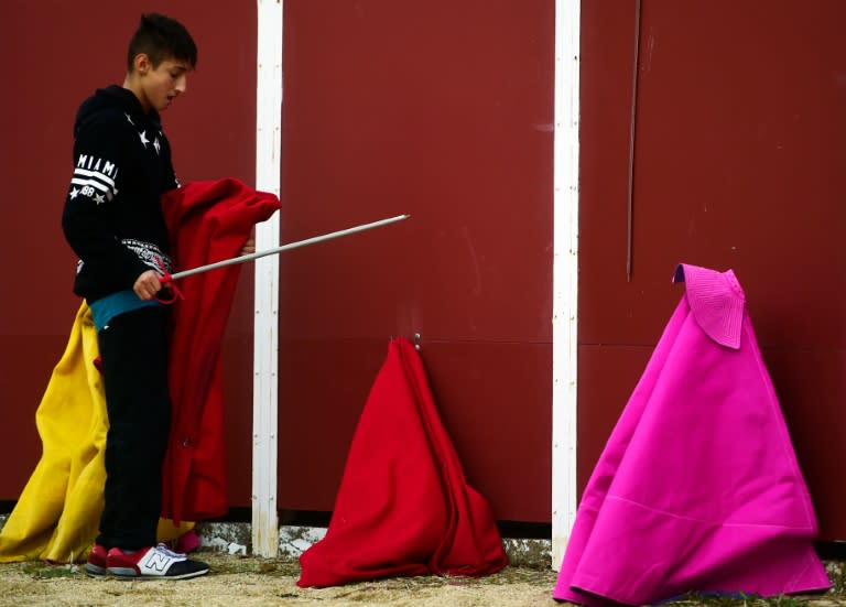 Two students practice with a red cape and bull's horns during an open air class at Marcial Lalanda bullfighting academy in Madrid's Casa de Campo park