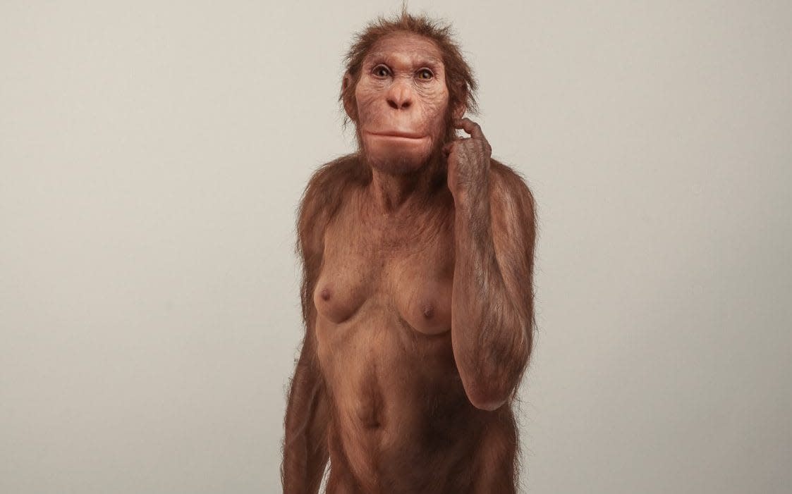 Life reconstruction of Australopithecus sediba  - Sculpture: Elisabeth Daynes / Photo: S. Entressangle