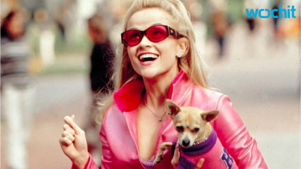 Moonie, The Chihuahua From 'Legally Blonde,' Has Died