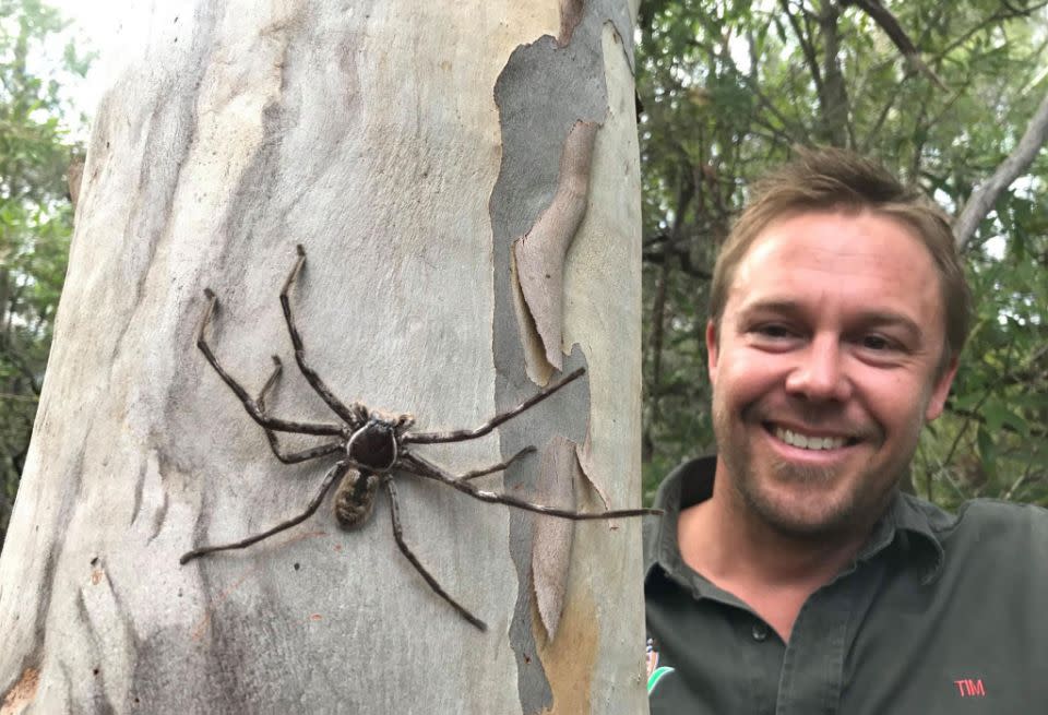 He was given 12 vials of antivenene - an unheard-of amount and an Australian record, according to Australian Reptile Park general manager Tim Faulkner. Source: Facebook