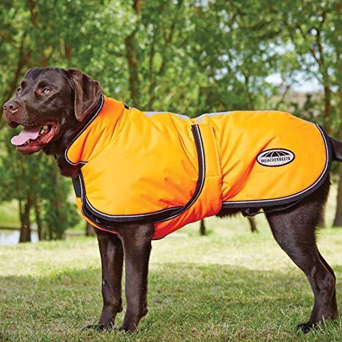 1) WeatherBeeta Comfitec Reflective Parka Deluxe Dog Coat