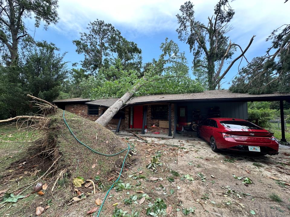 A pine tree fell on the home of Cameron and Morgan Brackin during a tornado outbreak in Tallahassee on Friday, May 10, 2024.
