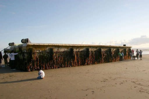 A Oregon Parks and Recreation photo shows residents standing around a huge floating dock on Agate Beach, Oregon on June 5. US officials ordered Japanese seaweed and barnacles to be stripped from the tsunami-wrecked dock to guard against "possible invasive species" from Japan