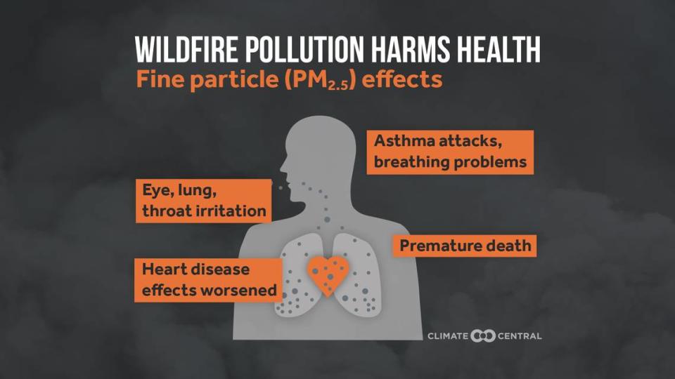 PM 2.5 can make its way into the bloodstream and lungs, causing effects from minor irritation to cardiovascular and respiratory illnesses.