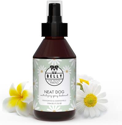 This doggy deodorant is an instant refresher