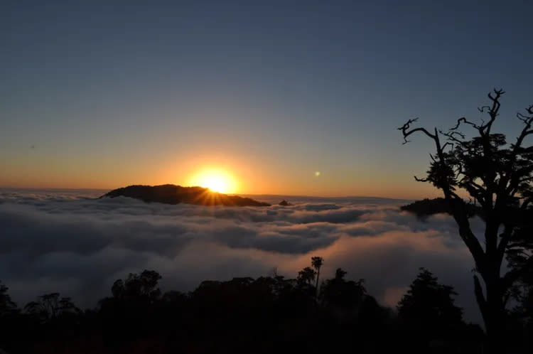 大雪山國家森林遊樂區夕陽。林務局提供