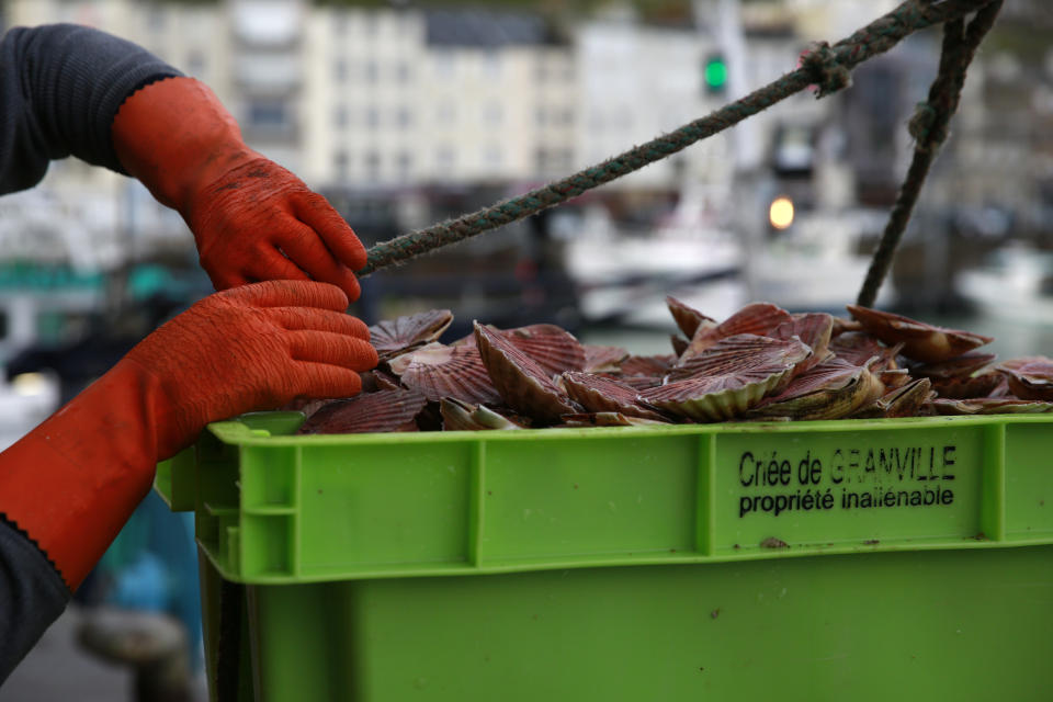 A fisherman removes a rope around a box of scallops fished in the UK waters, in the port of Granville, Normandy, Monday, Nov. 1, 2021. France has threatened to bar British boats from some of its ports and tighten checks on boats and trucks carrying British goods if more French vessels aren't licensed to fish in U.K. waters by Tuesday Oct.2, 2021. French fishing crews stood their ground, demanding a political solution to a local dispute that has become the latest battleground between Britain and the European Union. (AP Photo/Nicolas Garriga)