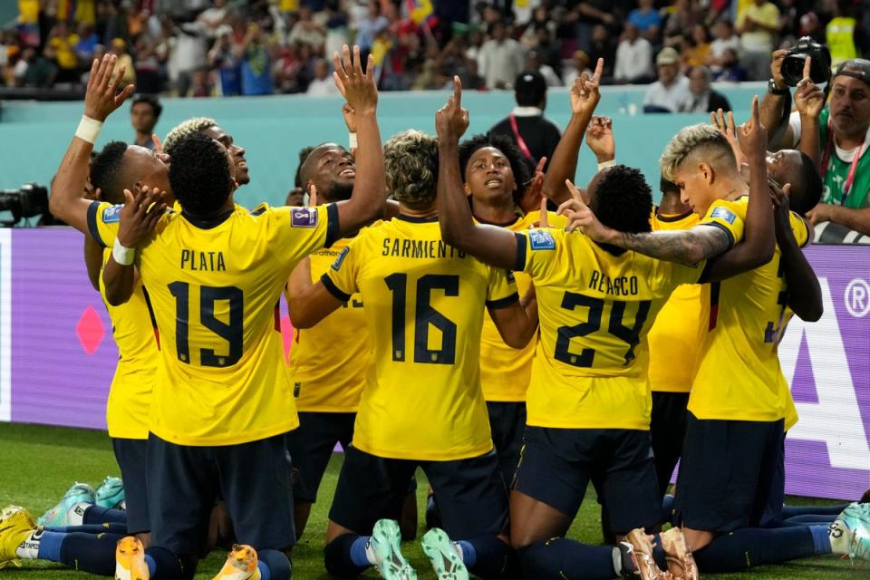 Moises Caicedo’s equaliser looked to have Ecuador back on course for the knockout stages (AP)