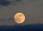 The first full moon of 2019 rises off the shore of Tenby, Pembrokeshire, Wales, Britain January 20, 2019. REUTERS/Rebecca Naden