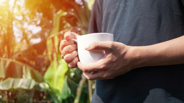 Realmente funciona el té verde para bajar de peso? Esto es lo que dice la  ciencia al respecto