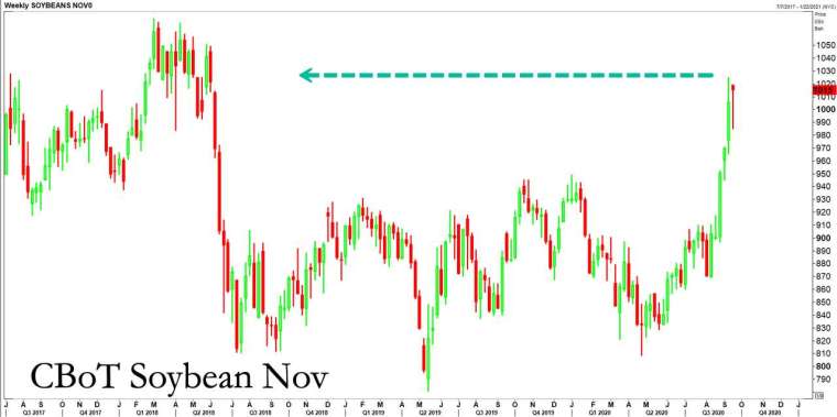 黃豆期貨價格變化(圖表取自Zero Hedge)