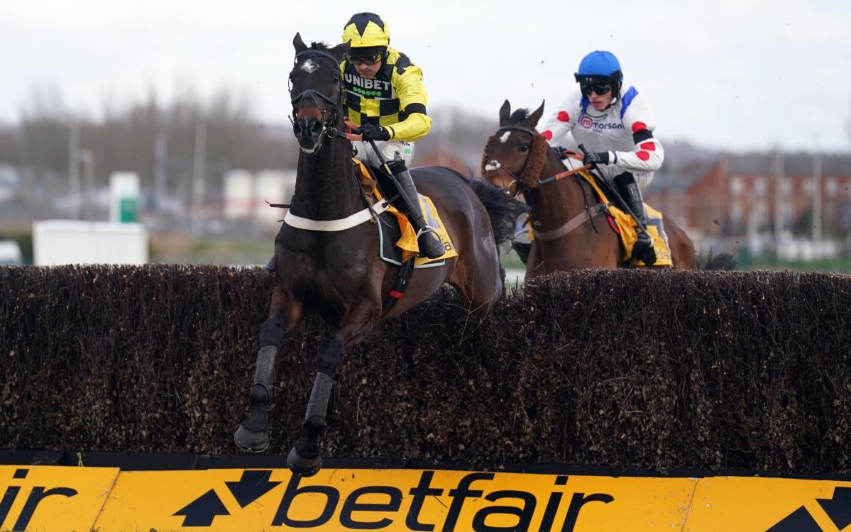 Cheltenham Gold Cup runners, jockeys, favorites and odds for 2024 EODBA