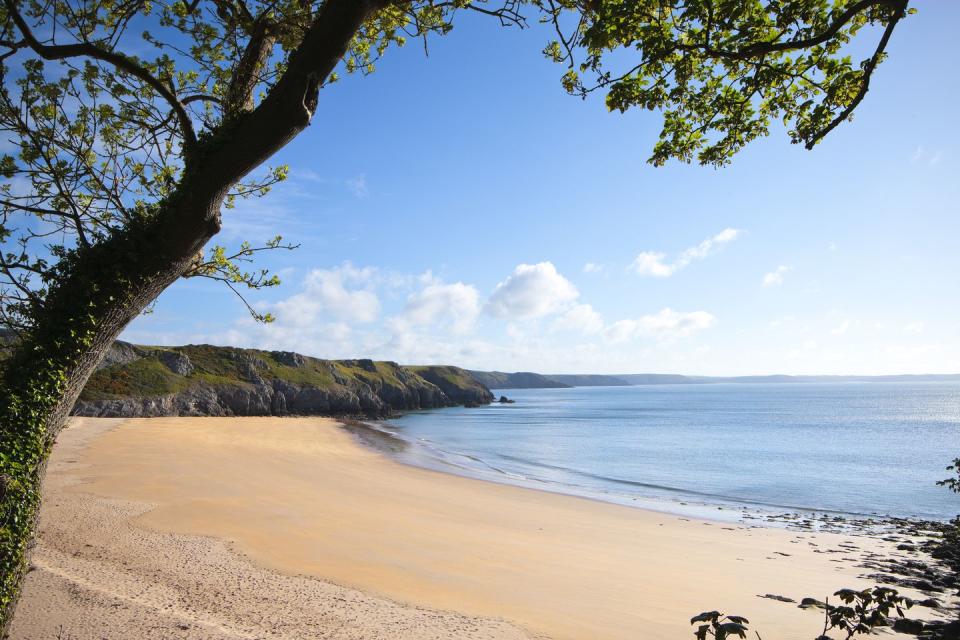 <p>A regular on the 'best beach' lists, Barafundle Bay offers all the wow factor you want from a trip to the seaside. It's backed by dunes and pine trees, with swathes of golden sand. It's often compared to beaches in the Caribbean and is pristine thanks to its isolated location. The Pembrokeshire beach has no facilities and parking is a half a mile walk over cliffs but it's worth it for taking all of this in.</p><p><strong>Where to stay: </strong>Just a 10-minute drive from Barafundle Bay and close to another terrific Welsh Beach, Freshwater East, this cottage is homely, sleeps four and ideal for small families. <a class="link " href="https://go.redirectingat.com?id=127X1599956&url=https%3A%2F%2Fwww.sykescottages.co.uk%2Fcottage%2FSouth-Wales-Pembrokeshire-Freshwater-East%2FThirty-Four-Freshwater-Bay-1035504.html%23duration%3D7%26calendar%3D2020-09%26changeover%3D6&sref=https%3A%2F%2Fwww.countryliving.com%2Fuk%2Ftravel-ideas%2Fstaycation-uk%2Fg32996826%2Fbest-beaches-wales%2F" rel="nofollow noopener" target="_blank" data-ylk="slk:SEE INSIDE;elm:context_link;itc:0;sec:content-canvas">SEE INSIDE</a></p>