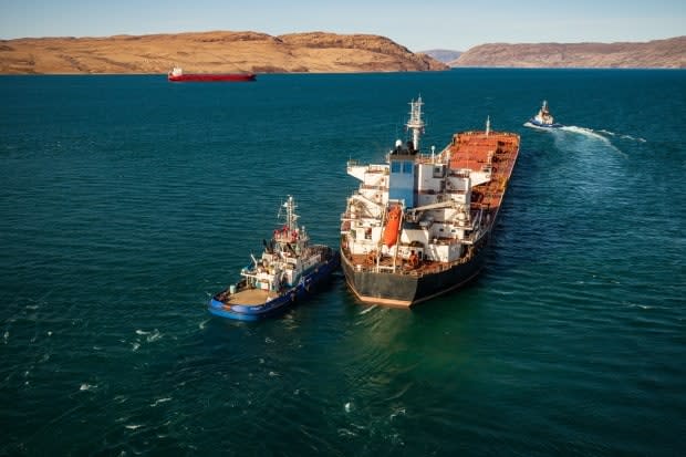 The proposed expansion at Mary River mine in Nunavut would see shipping increase at Milne Port. Communities say they still aren't clear on how this will impact marine mammals. The mine says impacts can be mitigated.  