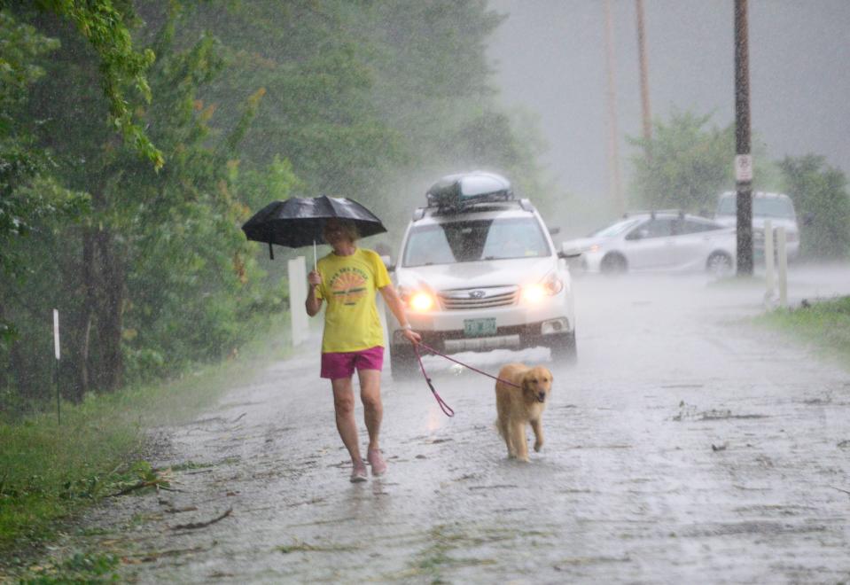 Nancy Cain, of Brattleboro, Vt, walks her dog Zephyr as the rain pours down near the West River in Brattleboro (AP)