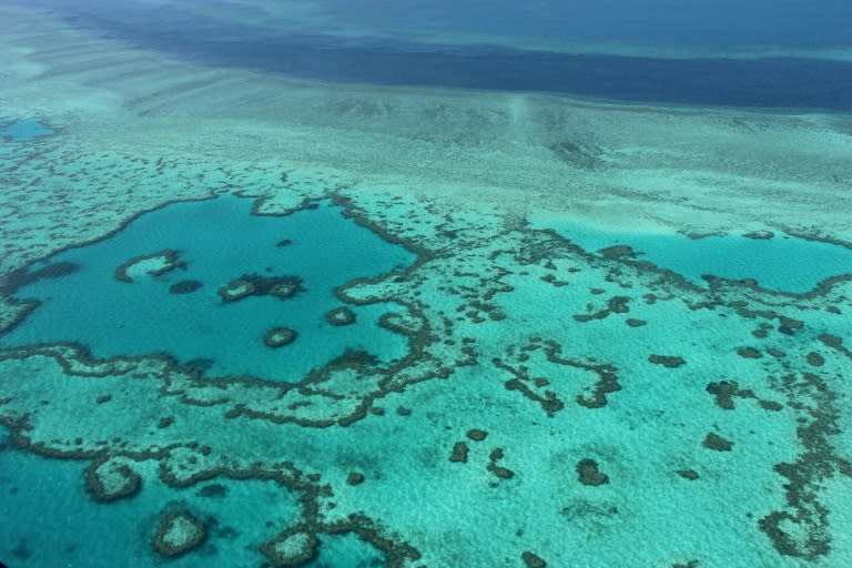 The World Heritage-listed reef is the largest living structure on Earth and its economic and social value was calculated for the first time in the Deloitte Access Economics report commissioned by the Great Barrier Reef Foundation