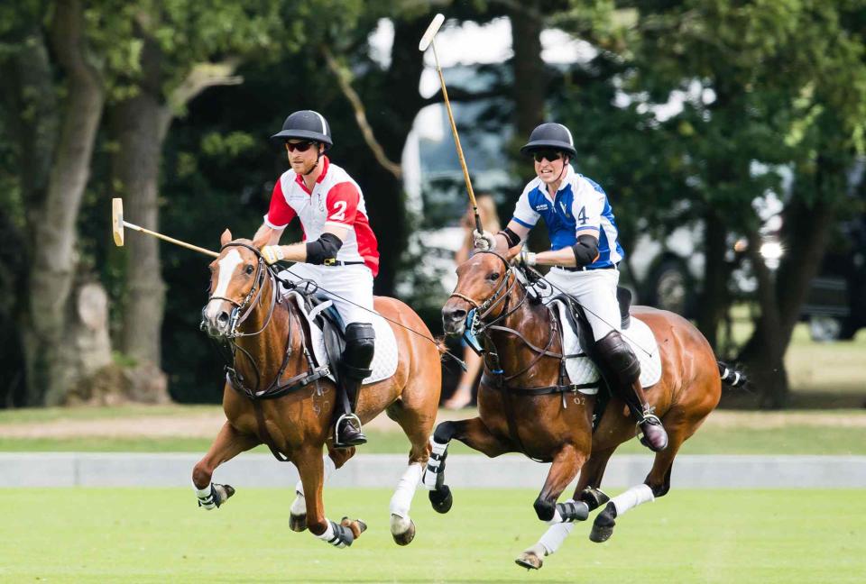 Samir Hussein/WireImage Prince Harry and Prince William