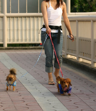 Pasear a tu mascota es buen ejercicio / Foto: Thinkstock