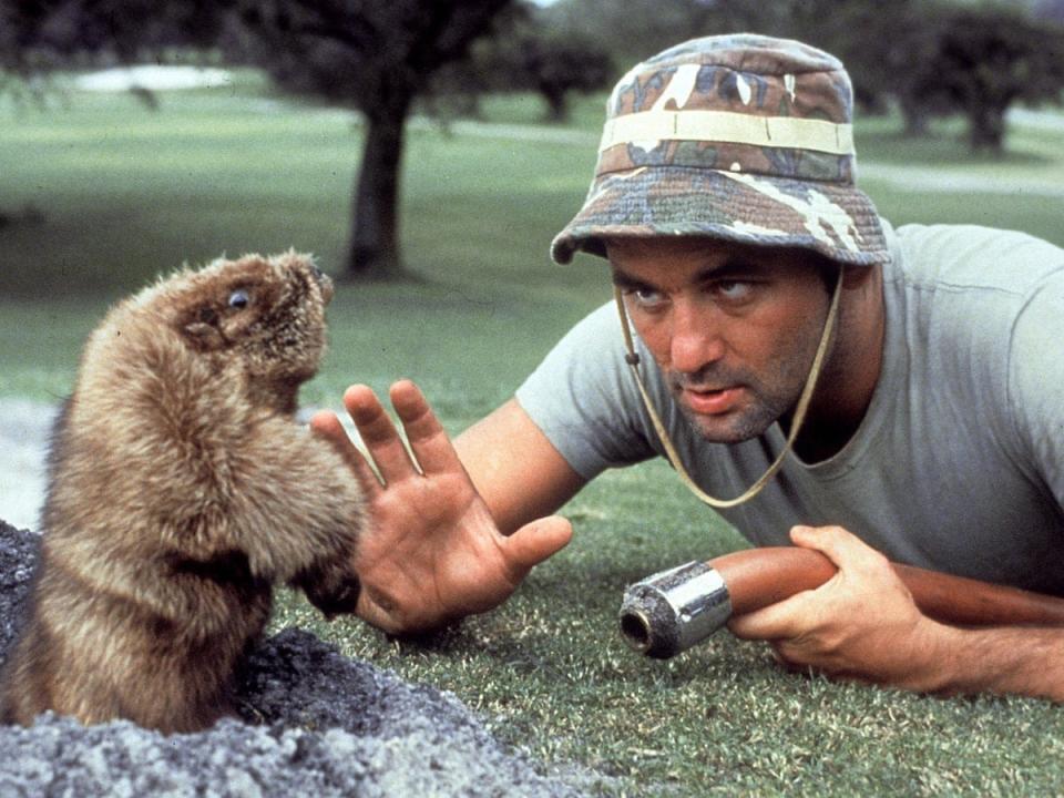 Bill Murray in "Caddyshack."