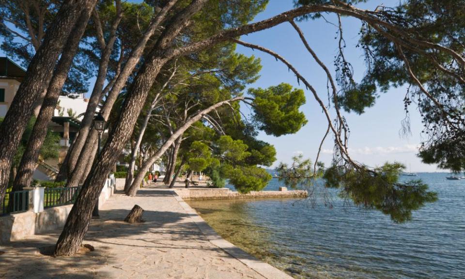 Pine Walk at Port of Pollensa, Majorca, Spain.