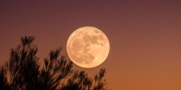 ¡Espectáculo celeste! Este viernes brillará Superluna de Esturión 